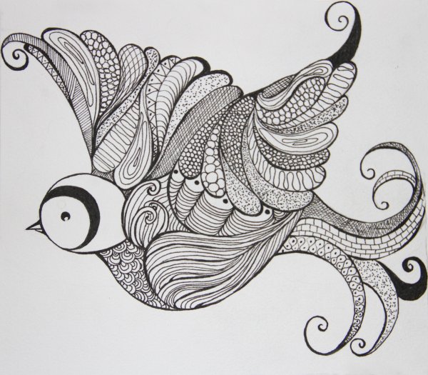 Дудлинг птицы