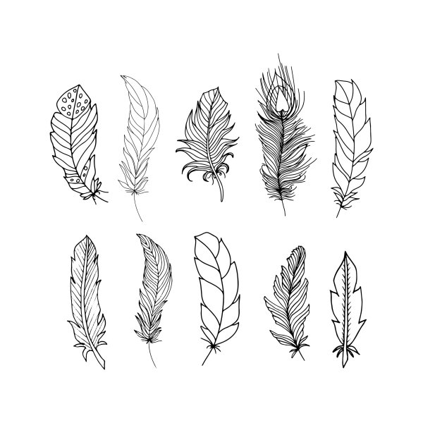 Маленькое перо рисунок