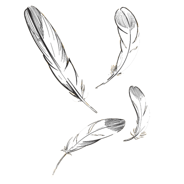 Перышко Графика