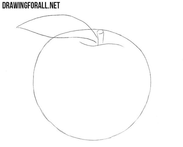 Персик в графике