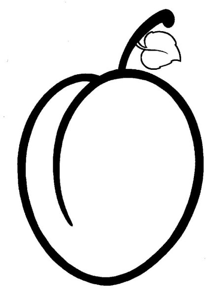 Персик для раскрашивания детям