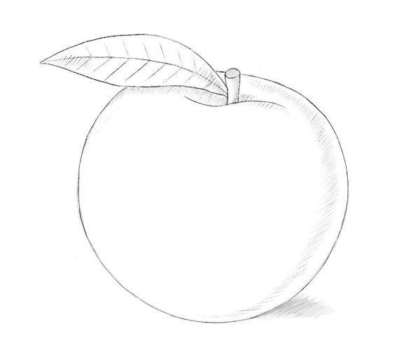 Нарисовать персик карандашом
