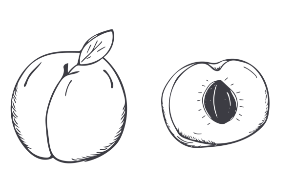 Персик карандашом