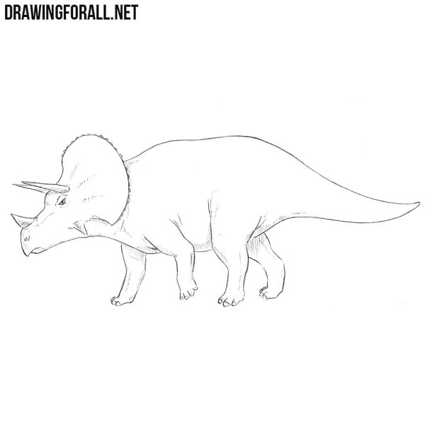 Трицератопс карандашом