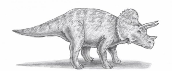 Трицератопс карандашом