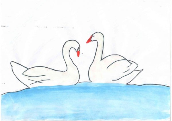 Поэтапное рисование лебедя