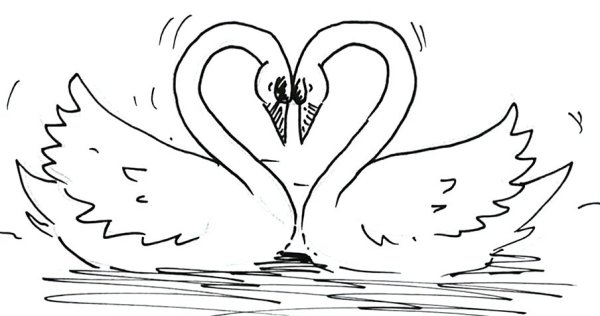 2 Лебедя рисунок