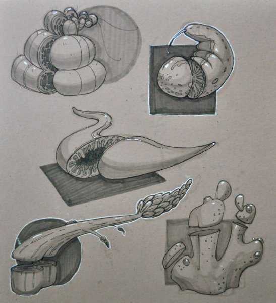 Бионика экстерьер клаузура