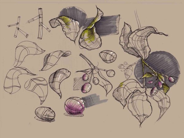 Клаузура Бионика в архитектуре