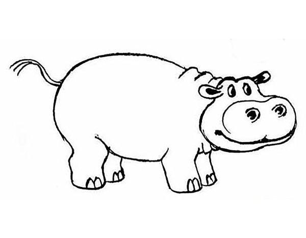 Бегемот раскраска