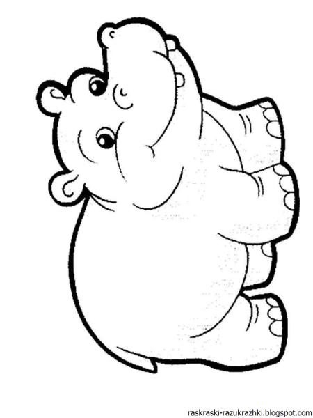 Бегемот рисунок карандашом