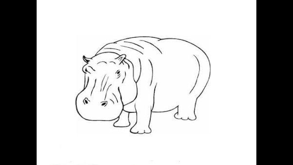 Поэтапное рисование бегемотика