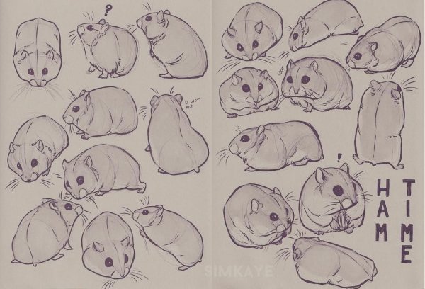 Раскраски милые хомячки