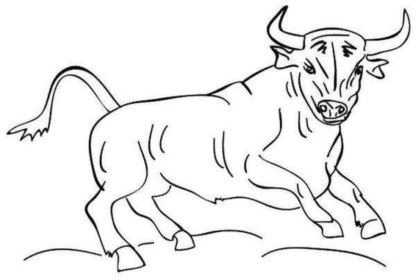 Бык раскраска