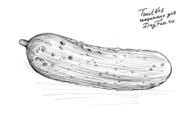 Огурец рисунок карандашом