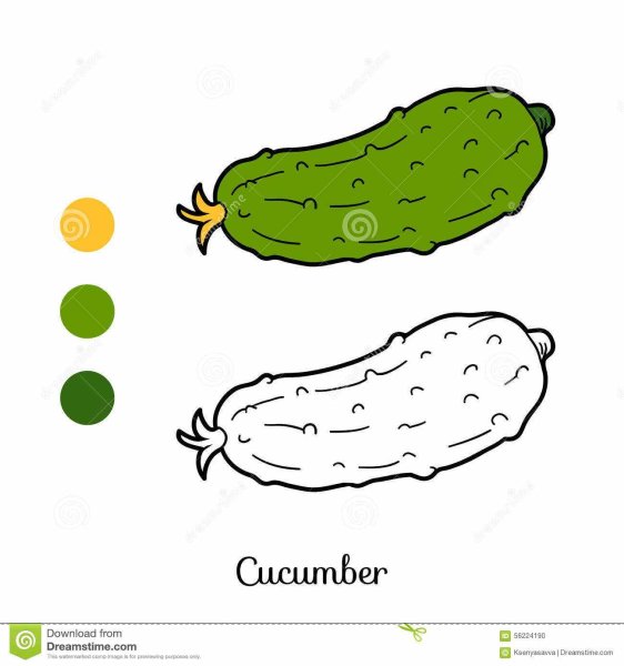 Огурец раскраска для детей