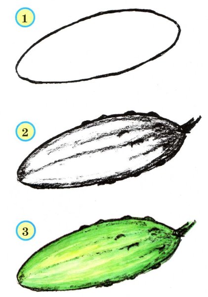 Огурец раскраска для детей