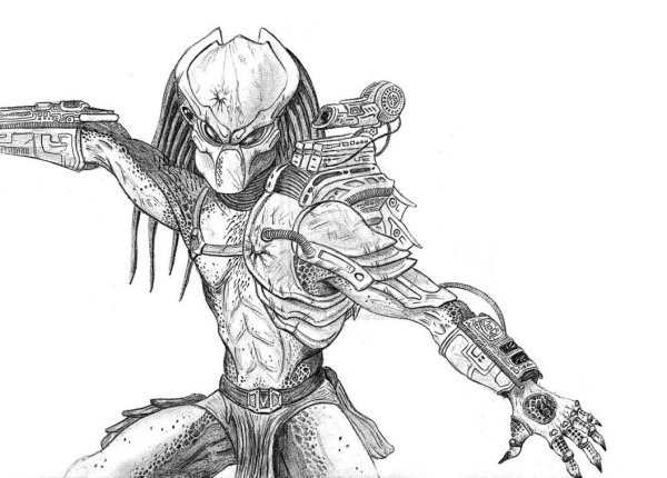 Хищник рисунок карандашом для срисовки