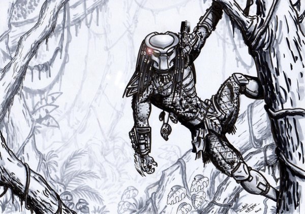 Хищник на дереве