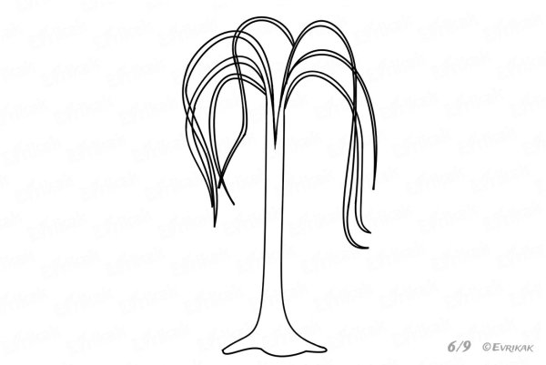 Плакучая Ива набросок