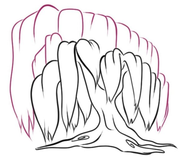 ВИППИНГ Виллоу