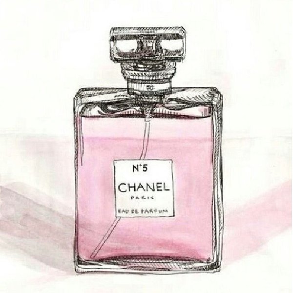 Духи Шанель рисунок