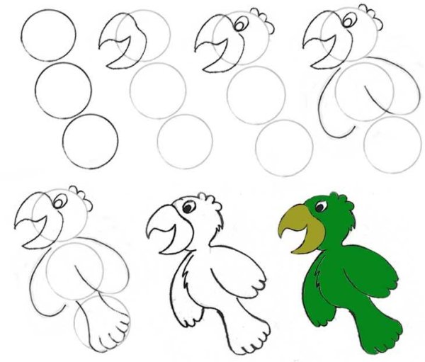 Попугай ара трафарет