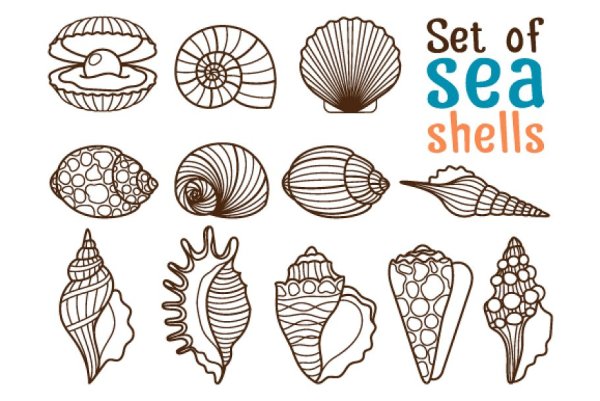 Ракушки в линии