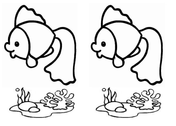 Пластина графия Золотая рыбка