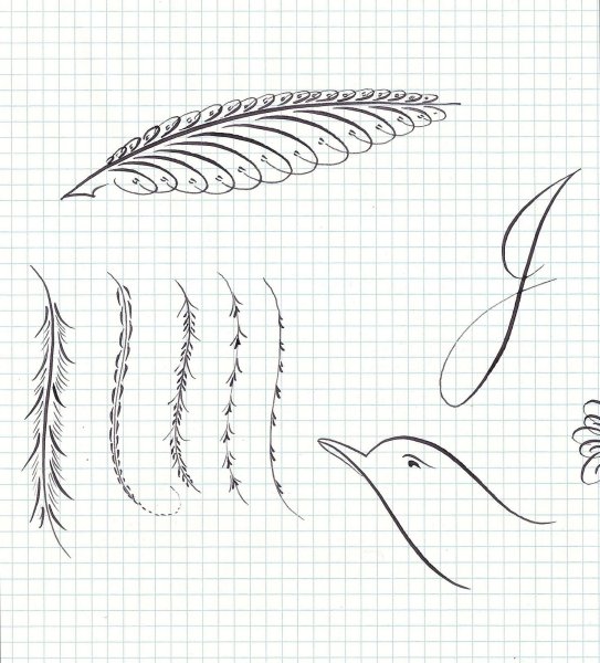 Каллиграфические росчерки флориш