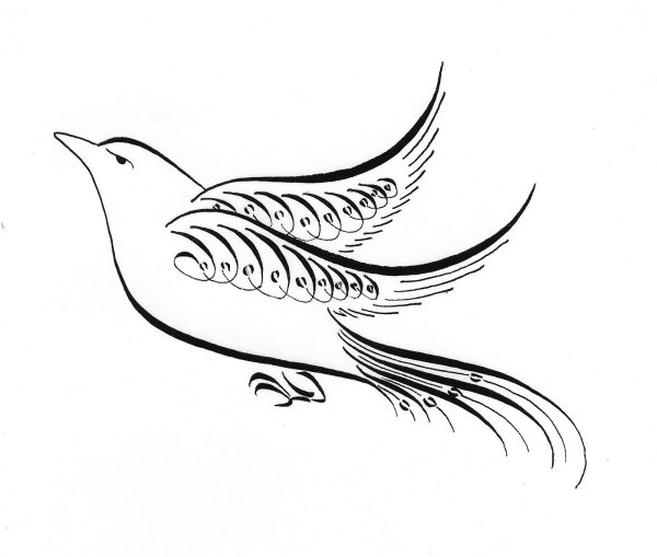 Каллиграфический рисунок птица