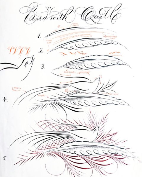 Флоришинг каллиграфия