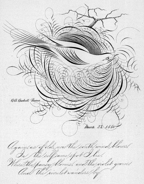 Каллиграфия рисунки