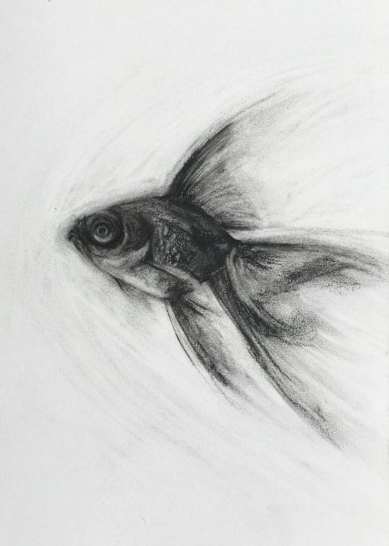 Рисунки углем