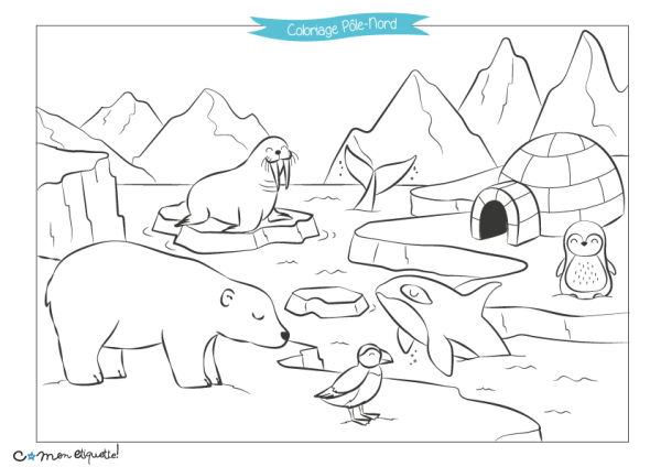 Раскраски животные Арктики и Антарктики для детей