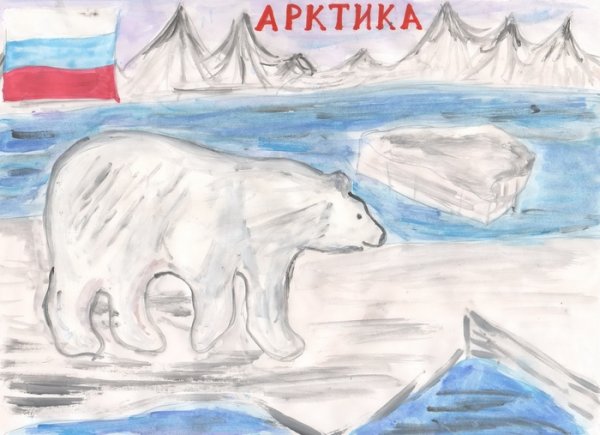 Арктика рисунок