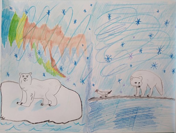 Арктика рисунок