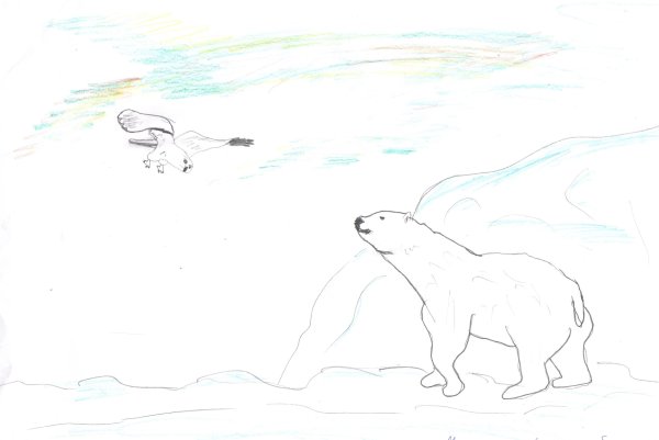 Северное сияние в Арктике рисунок карандашом