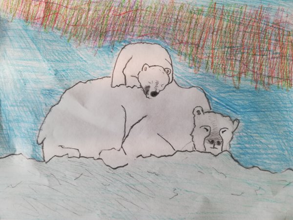 Нарисовать Арктику