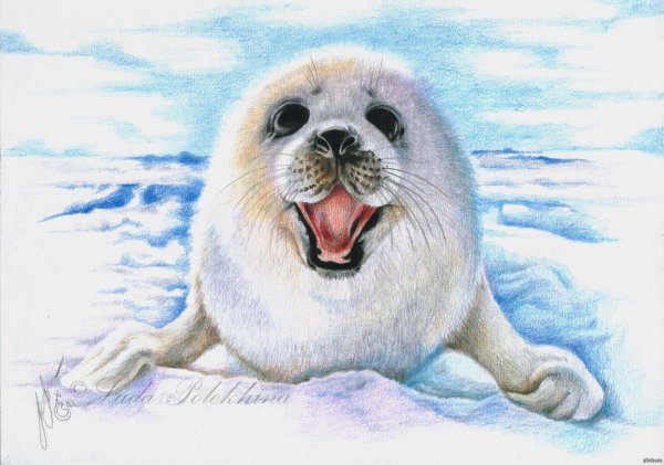 Снегирев Белек