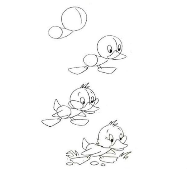 Поэтапное рисование птиц