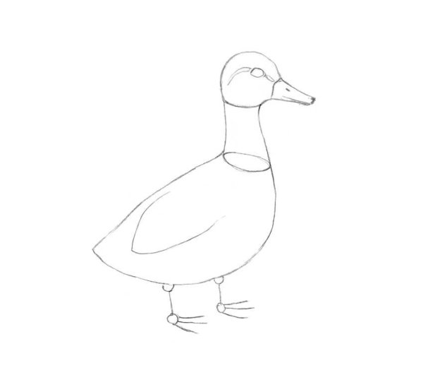 Утка нарисованная