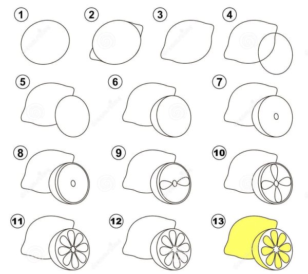 Лимон натюрморт карандашом