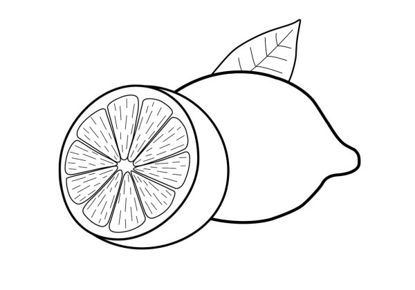 Лимон рисунок карандашом