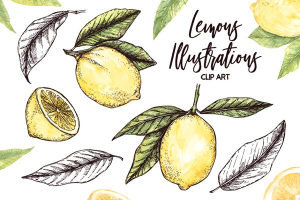 Поэтапное рисование лимона