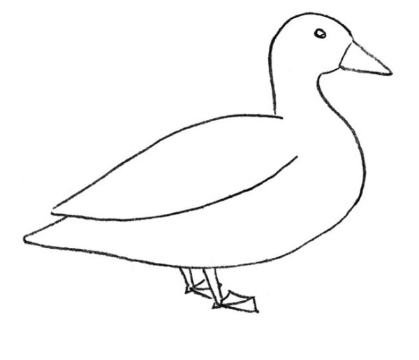 Легкий рисунок утки