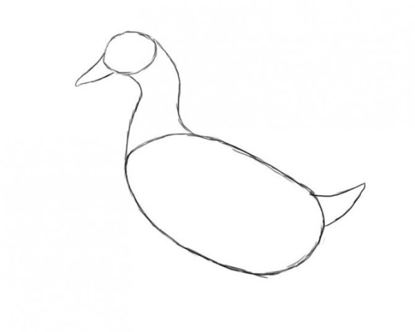 Поэтапное рисование утки для детей