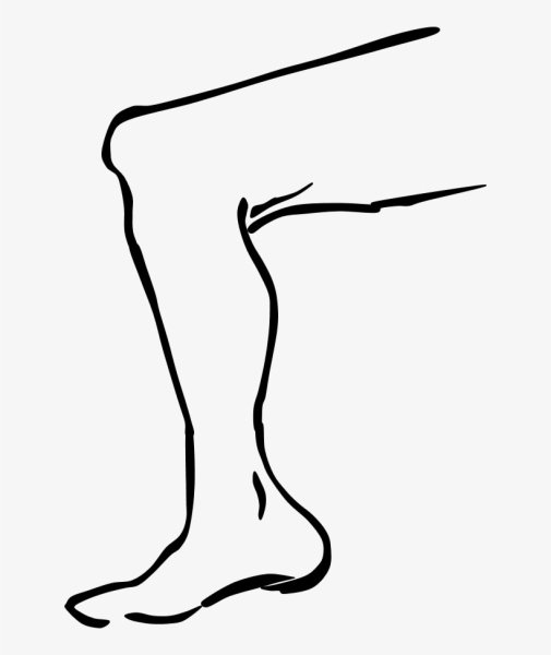 Ноги раскраска