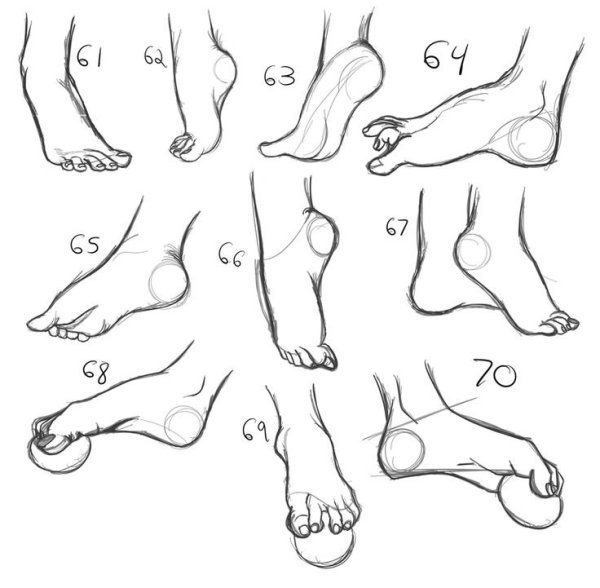 Стопа сбоку референс