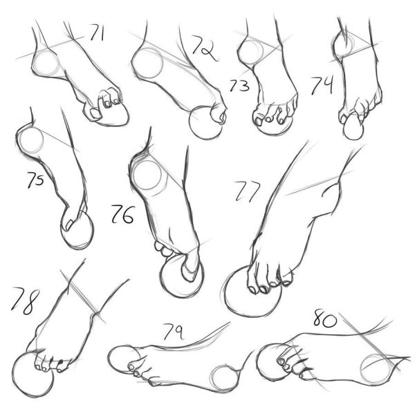 Стопа снизу референс